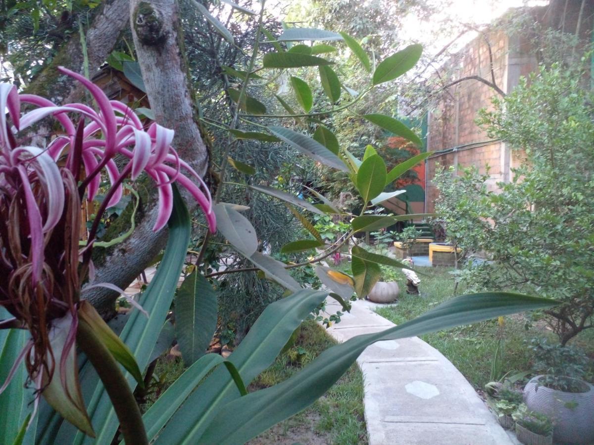 Montecarlos Hotel Ibague Exterior photo